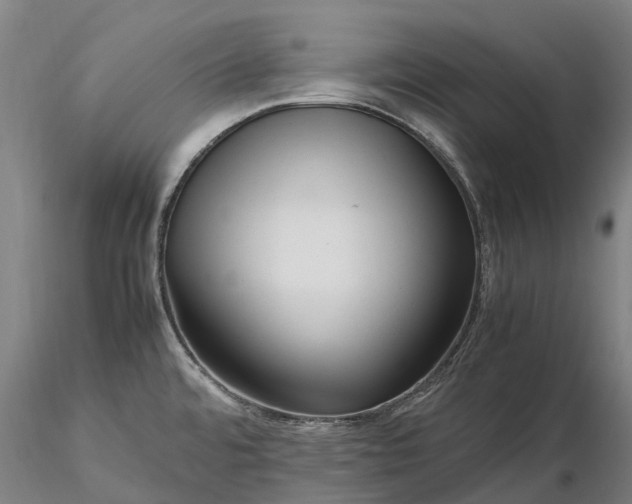 X0000116351480200912151339