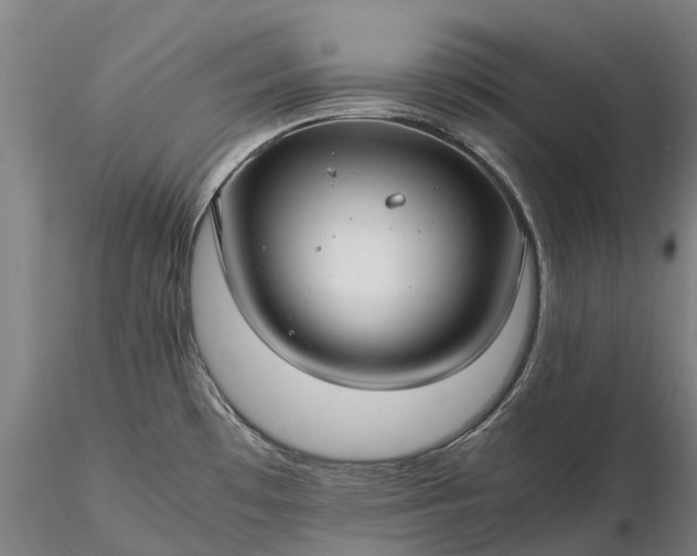 X0000116351481200912151339