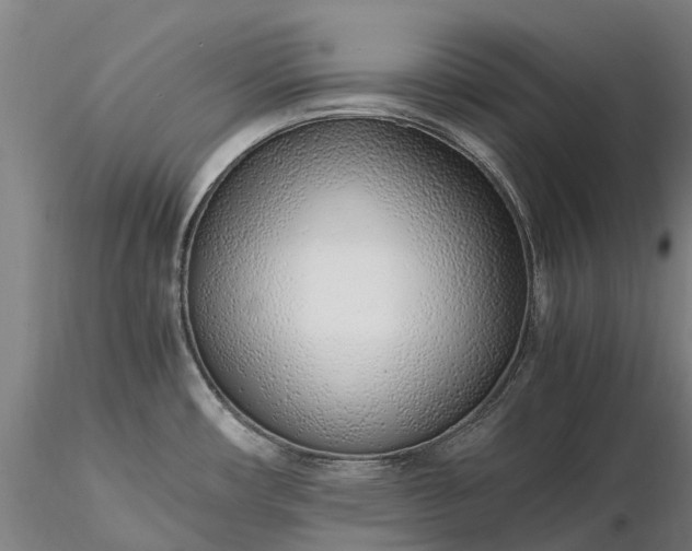 X0000116351482200912151339