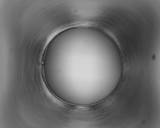 X0000116351483200912151339