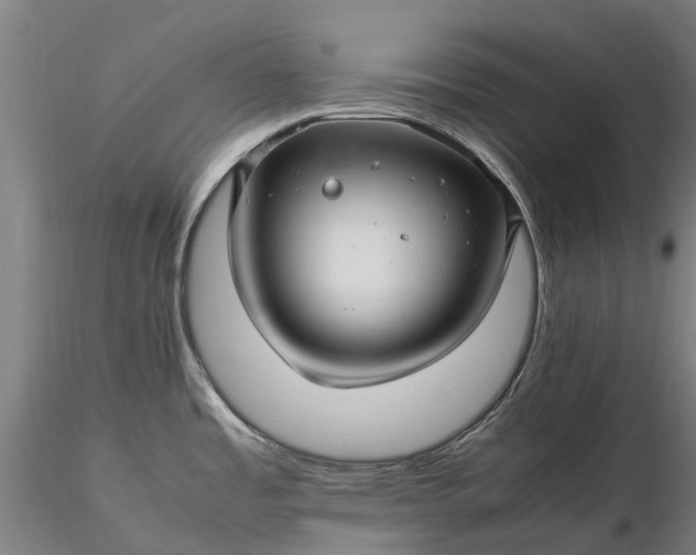 X0000116351485200912151339