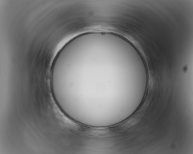 X0000116351486200912151339