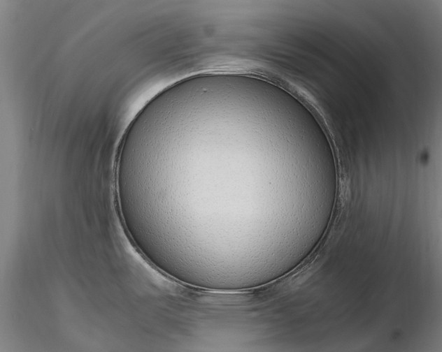 X0000116351487200912151339