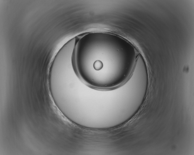 X0000116351488200912151339