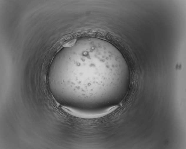 X0000116351489200912151338