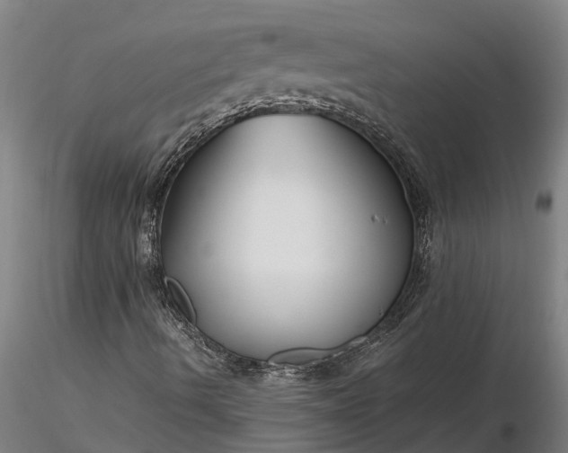 X0000116351490200912151338