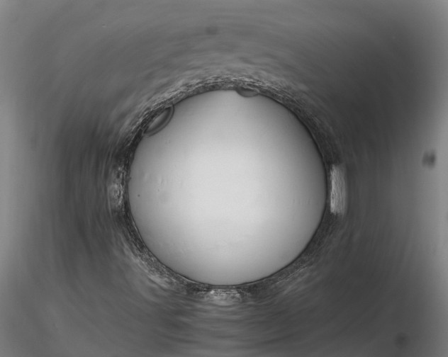 X0000116351491200912151338