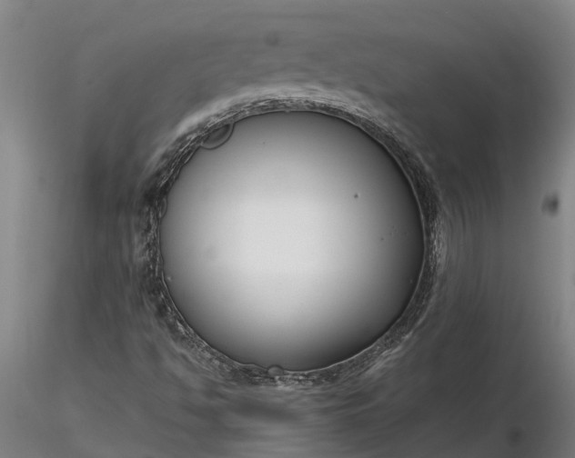 X0000116351494200912151338