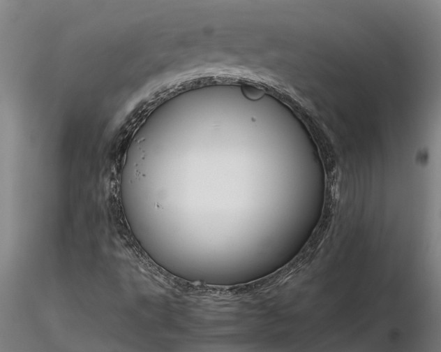 X0000116351495200912151338