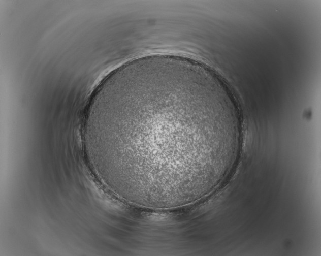 X0000116351497200912151338