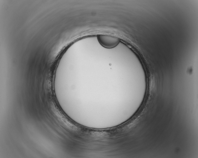 X0000116351498200912151339