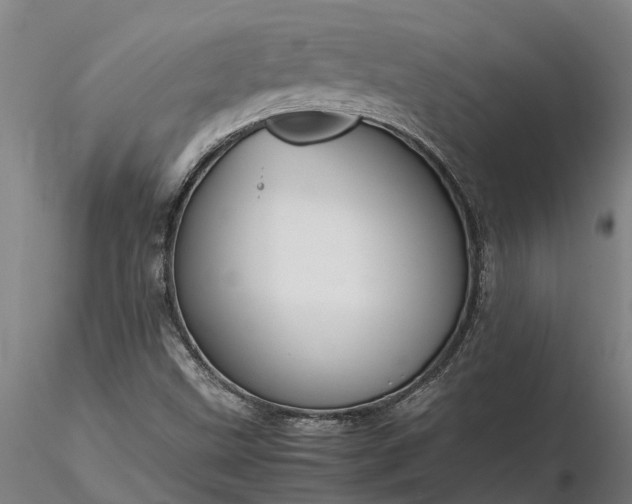 X0000116351499200912151339