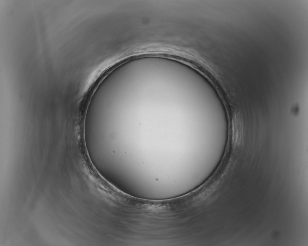 X0000116351501200912151339