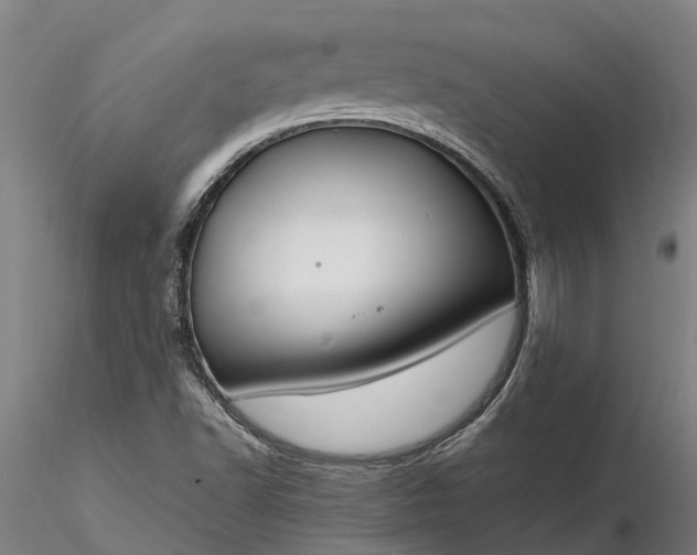 X0000116351502200912151339