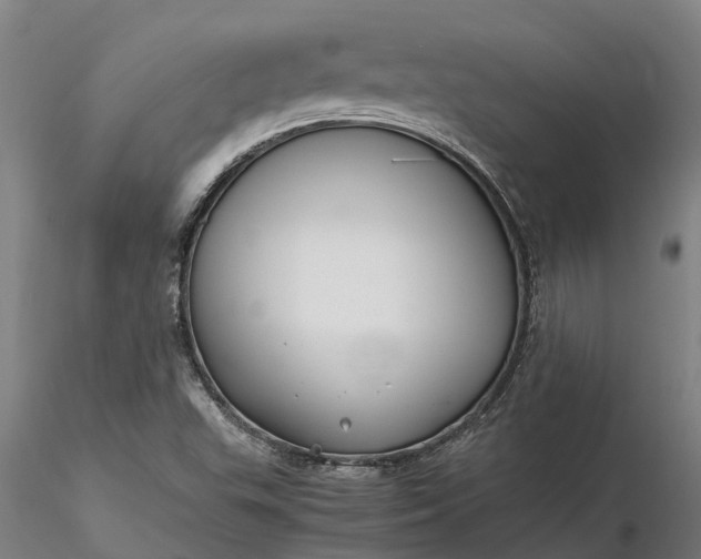 X0000116351503200912151339