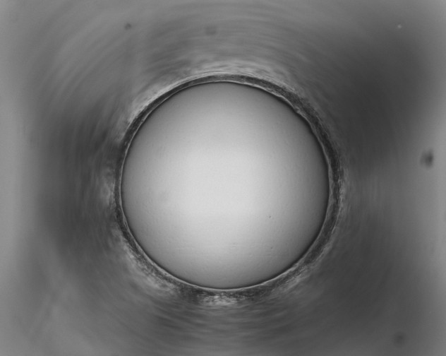 X0000116351505200912151339