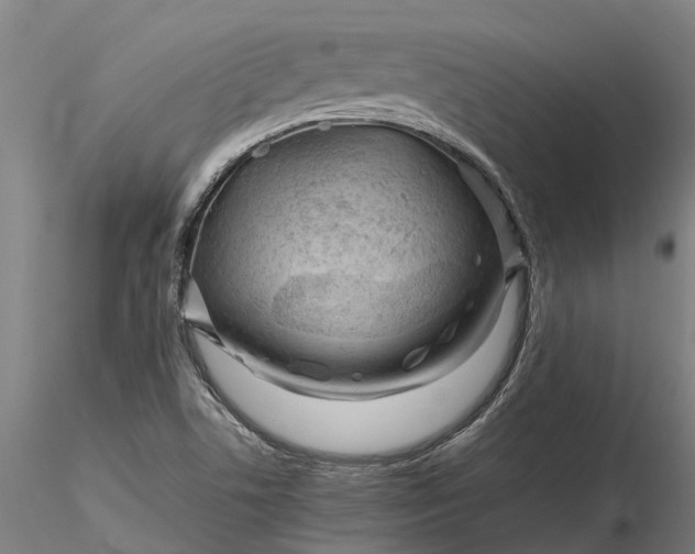 X0000116351506200912151339