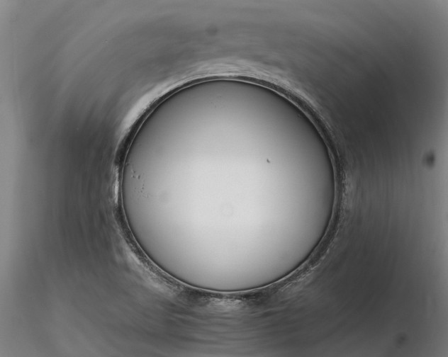 X0000116351509200912151339