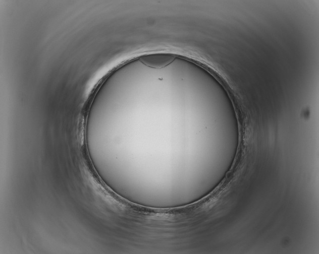 X0000116351510200912151339