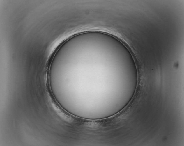 X0000116351511200912151339