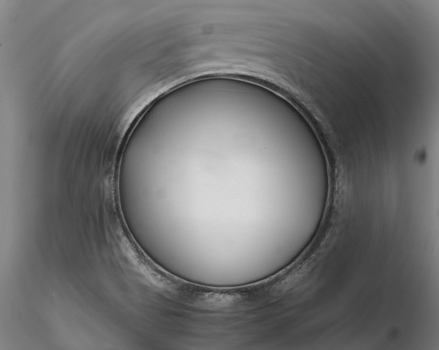 X0000116351513200912151339