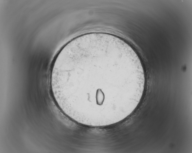 X0000116351514200912151339