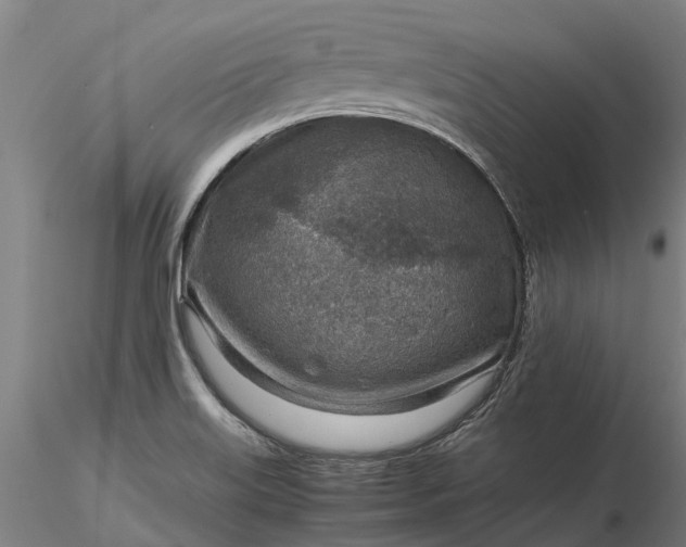 X0000116351515200912151339