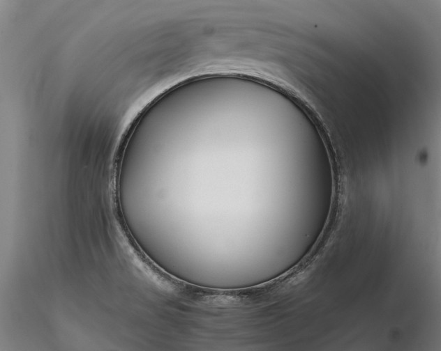 X0000116351517200912151339