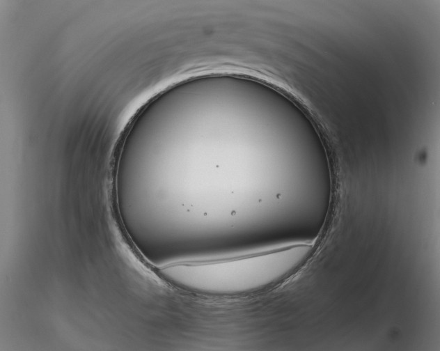 X0000116351518200912151339