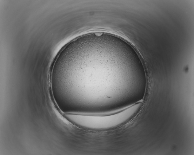 X0000116351519200912151339