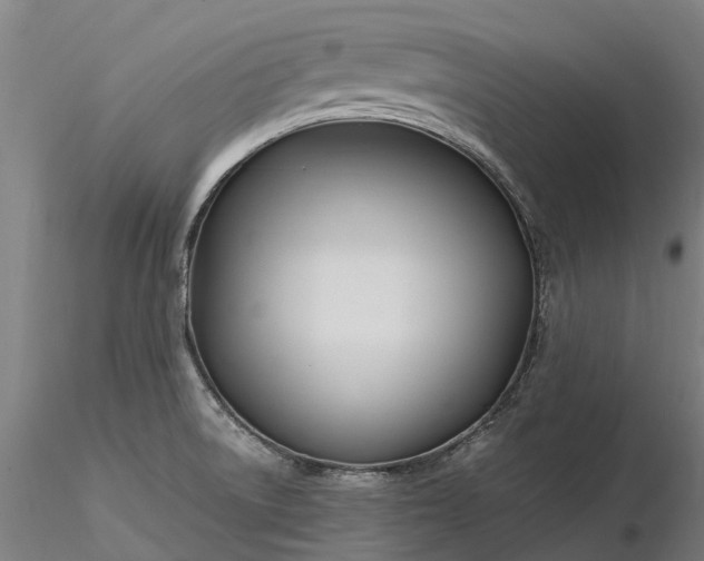 X0000116351522200912151339