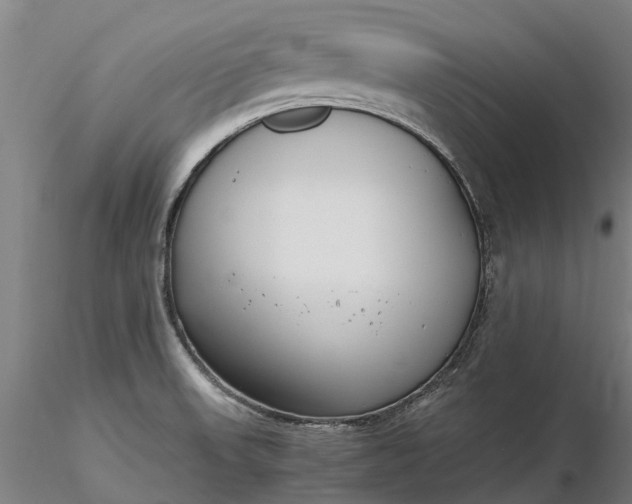 X0000116351523200912151339