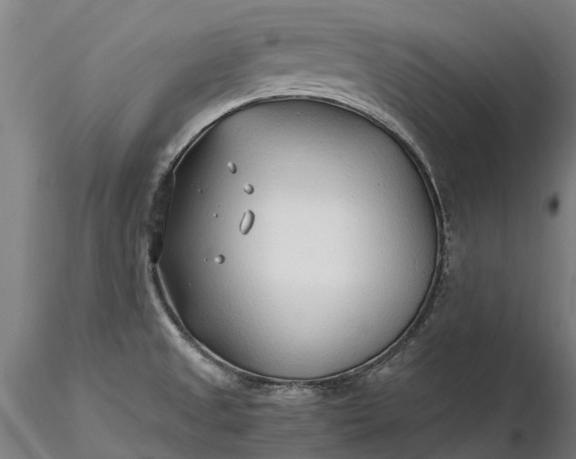 X0000116351525200912151339