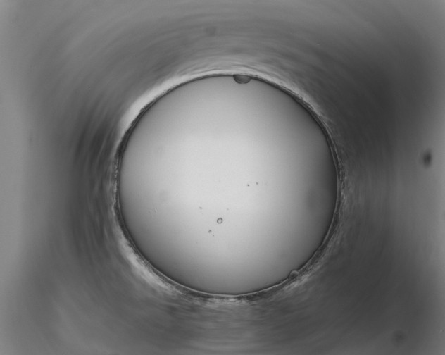 X0000116351526200912151339