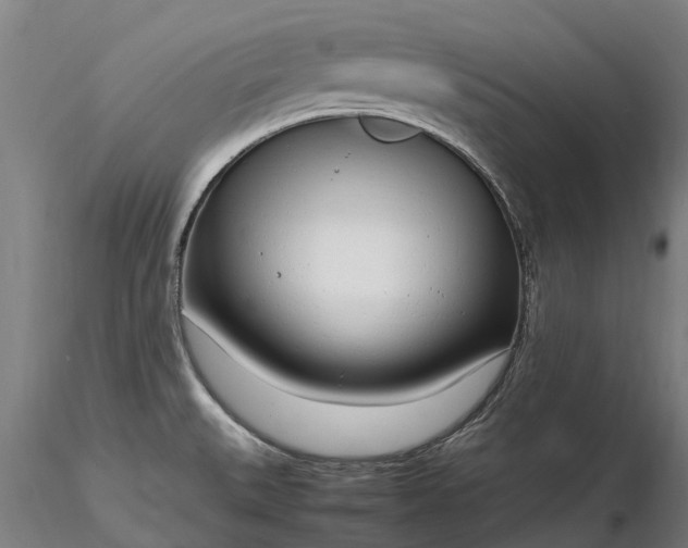 X0000116351527200912151339