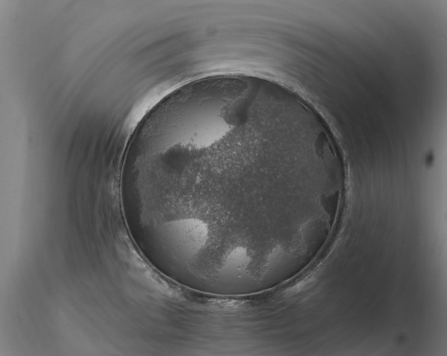 X0000116351529200912151339