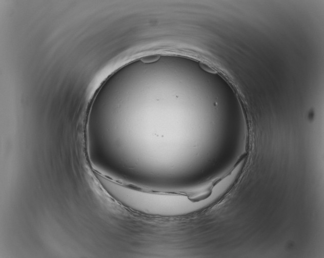 X0000116351530200912151339