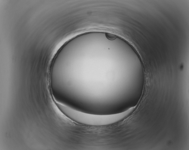 X0000116351531200912151339