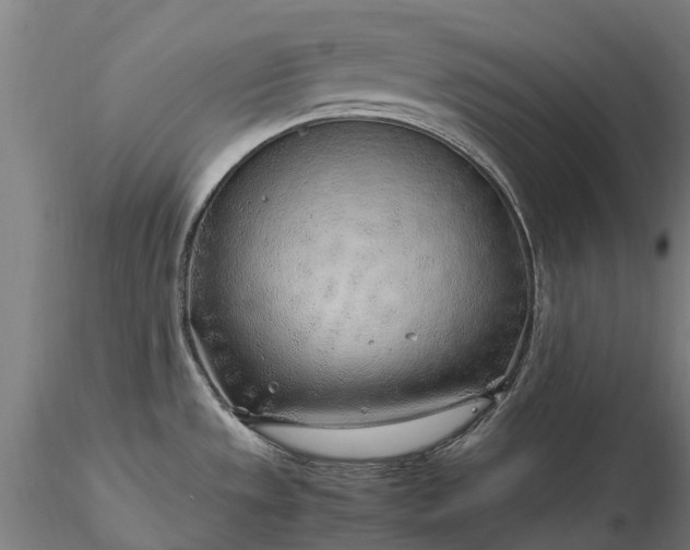 X0000116351533200912151339