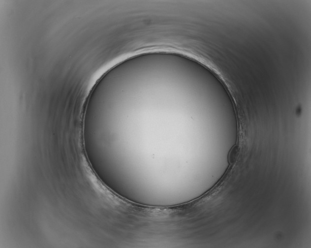 X0000116351534200912151339