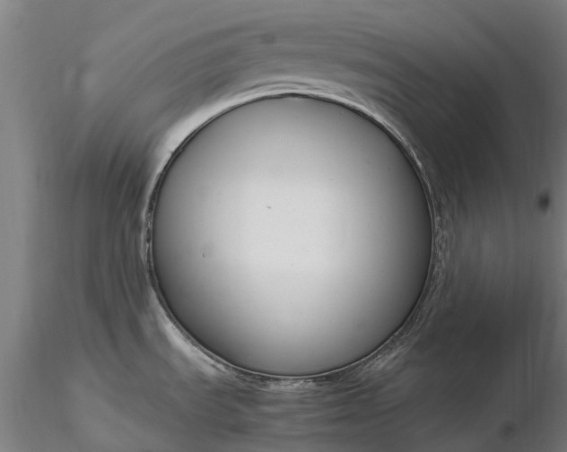 X0000116351535200912151339