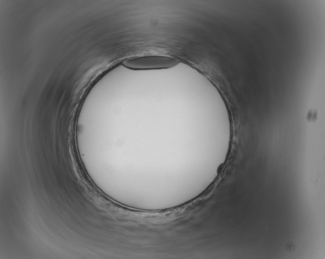 X0000116350001200912221512