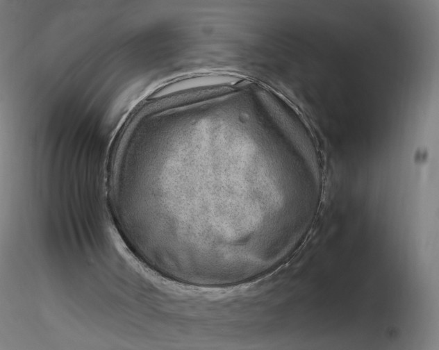 X0000116350002200912221511
