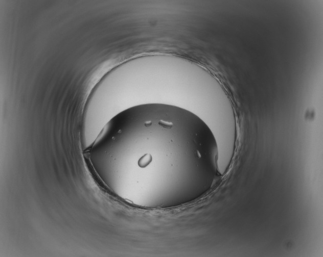 X0000116350003200912221511