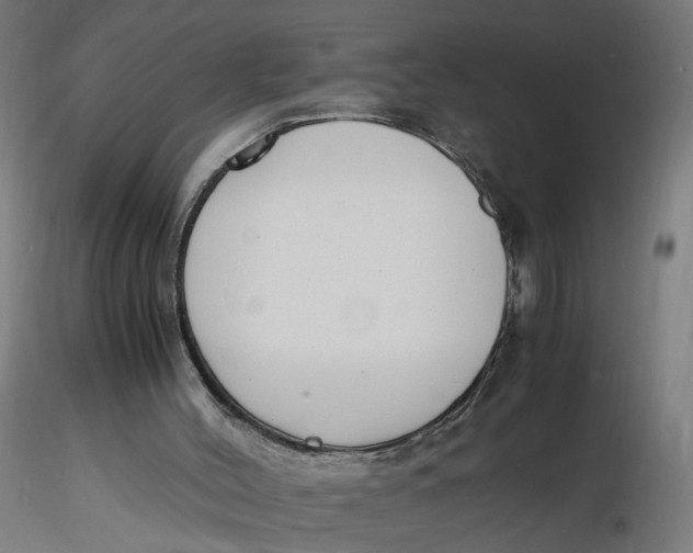 X0000116350004200912221511