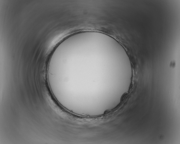 X0000116350005200912221511