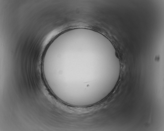 X0000116350006200912221511