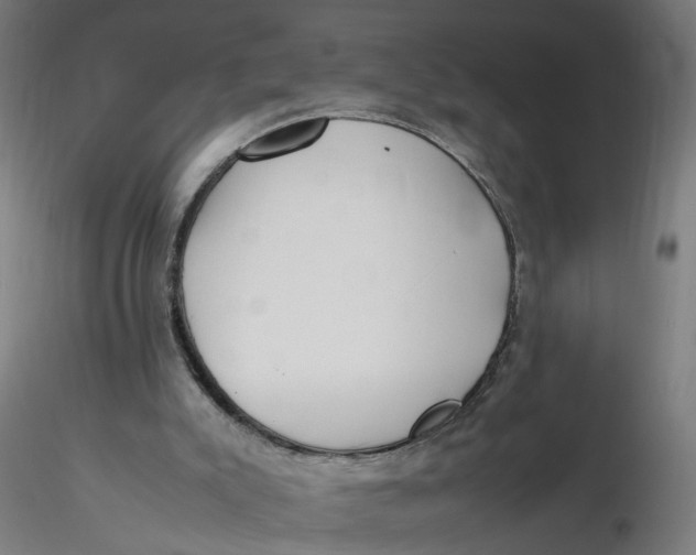 X0000116350007200912221511