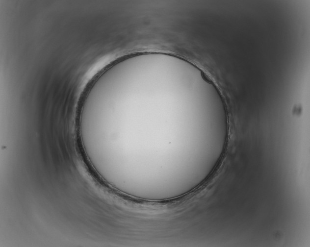 X0000116350008200912221511