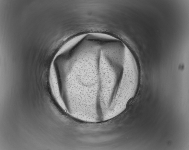 X0000116350009200912221511